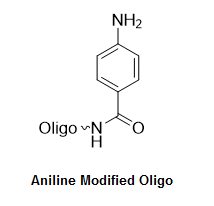 Bio-Synthesis Inc. Oligo Structure